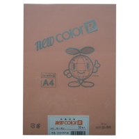 色画用紙R A4 A4NCR-127 サーモン_選択画像02