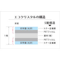 耐水紙エコクリスタル ECO-230-A4 10枚_選択画像02