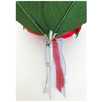 コサージュ アリーナ レッド_選択画像02