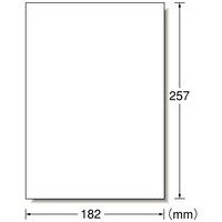 ＰＰＣラベル 28772 B5/ノーカット 100枚_選択画像02