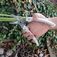 EA540BC-12 192mm ハサミ･剪定_選択画像04