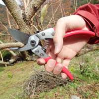 EA540BC-15A 200mm ハサミ･剪定_選択画像03