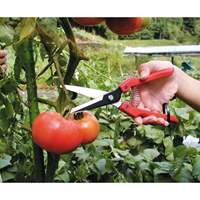 EA540BC-16 210mm ハサミ･採取_選択画像02