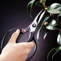 EA540BG-3 210mm ハサミ･植木_選択画像03