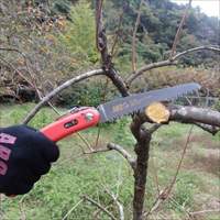 EA599DL-13 350mm/150mm 折込鋸_選択画像03