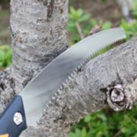 EA599RG-1 480mm/300mm生木鋸_選択画像02