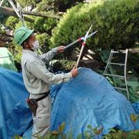 EA650A-8 650mm 刈込鋏_選択画像03