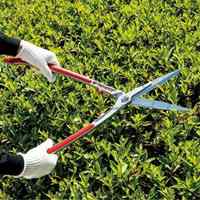 EA650A-10 650mm 刈込鋏_選択画像03