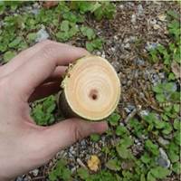 EA650AC-33A 778mm 枝切鋏_選択画像04