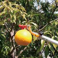 EA650AX-31 1.8-3.0m 高枝切 採収型･伸縮柄_選択画像02