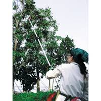 EA650AX-31 1.8-3.0m 高枝切 採収型･伸縮柄_選択画像03