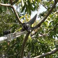 EA650AX-32 1.8-3.0m 高枝鋏 剪定型･伸縮柄_選択画像03