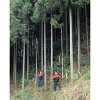 EA650AX-150 1.92-3.8m 高枝鋸_選択画像03