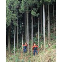 EA650AX-170 2.69-6.12m 高枝鋸_選択画像03