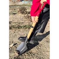 EA650BG-81 228x295x 980mm ショベル 先丸_選択画像02