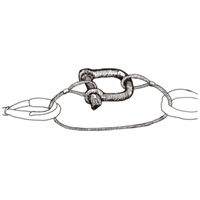 8x64mm/250kgロングシャックル(ステンレス)_選択画像03