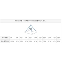 EA981EA-2A 0.63tonx2m金具付スリング(1本_選択画像02