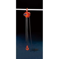 EA987CL-2.5 1.5tonx2.5mチェ-ンブロック