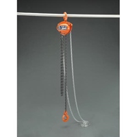 EA987CM-3 2tonx3mチェ-ンブロック