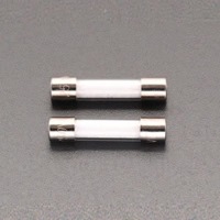 EA758ZZ-24A 250Vx3.0A/φ6.4mm管ヒュ-ズ