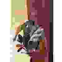 EA781GC-6 φ81x12mm超強力アイボルト_選択画像04