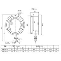 重)G3/8 in/100mm/0-10MPa圧力計(鍔付密閉)_選択画像02