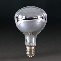 AC110V/300Wレフ電球