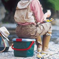 EA505-31 340x315x275/15L収納ケース_選択画像03