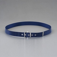 EA924-1 40作業用ベルト青