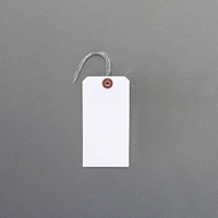 EA475HZ-6 120x60針金付防水荷札(ホワイト)