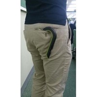 EA589DS-3 セーフティダンボールカッター_選択画像03