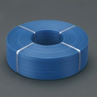 EA628PL-12 19.0x1000mPPバンド(青)