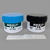 EA934AA-6 100g水中接着ボンド