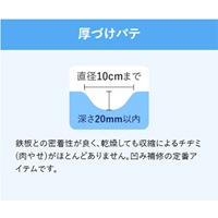 EA934AS-21 400gポリエステルパテ_選択画像03