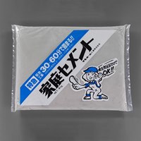 EA934HA-21 1.3kg超急硬セメント(灰色)