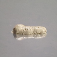 EA935KN-24 120ml木部補修用パテラワン_選択画像03