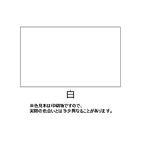 EA942EA-66 300mlガ-ドレ-ル補修スプレ-白_選択画像02