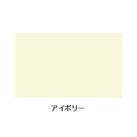 EA942Em-208ラッカ-スプレ-300mlアクリルIV_選択画像02