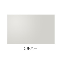 EA942Em-209ラッカ-スプレ-300mlアクリル銀_選択画像02