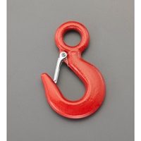 EA987FF-53 2.0tonアイフック_選択画像02