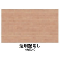 EA942EL-22 速乾水性木部用ニス(透明艶消)_選択画像02