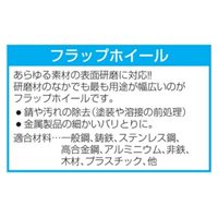 EA819AD-31G #180フラップホイール_選択画像03