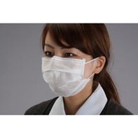 EA800MF-43 マスク(簡易粉塵/100枚)