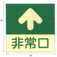 EA983AH-12 300x300mm蓄光式床用誘導標識_選択画像03