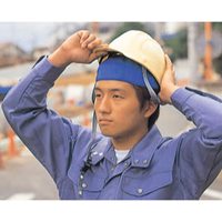 季節品)EA998AX-2 ヘルメットインナー青2枚_選択画像04