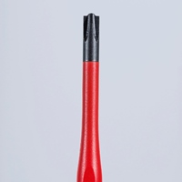 EA560KB-102 #2x100mm [+]ドライバ-(絶縁)_選択画像02