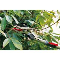 EA650AX-43 1900-2880mm 伸縮式高枝鋏_選択画像02