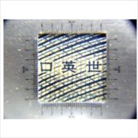 EA756AL-23A x15/20mm　 ル-ペ_選択画像02