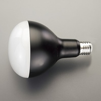 EA814AR-55 作業灯用交換ＬＥＤ球