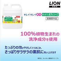 EA922KR-9 4.0L ボディソ-プ_選択画像03